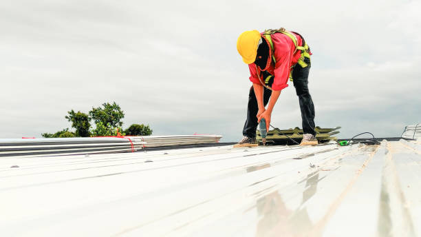 Best Roof Moss and Algae Removal  in Marienville, PA